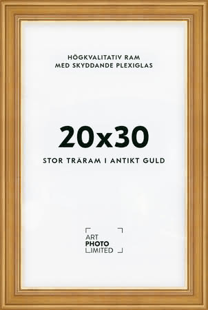 Stor Antik Förgylld Träram 20x30cm Stor Antik Förgylld Träram 20x30cm