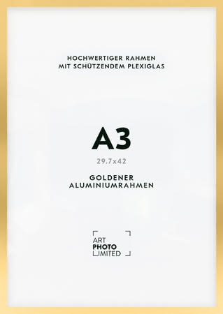 Alurahmen Gold A3