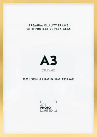 Gold Aluminum frame A3