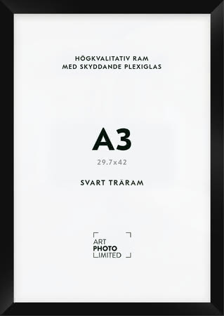Svart Träram A3 Svart Träram A3