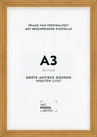 Brede Houten lijst Goudkleurig Goud A3