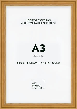 Stor Antik Förgylld Träram A3 Stor Antik Förgylld Träram A3