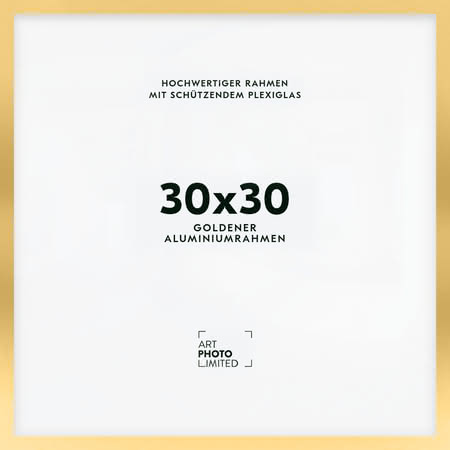 Alurahmen Gold 30x30cm