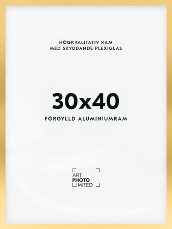 Förgylld Aluminiumram 30x40cm Förgylld Aluminiumram 30x40cm