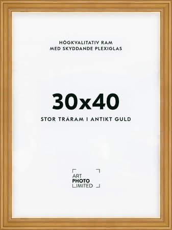 Stor Antik Förgylld Träram 30x40cm Stor Antik Förgylld Träram 30x40cm