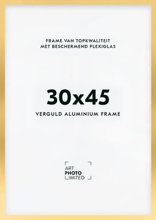 Aluminium lijst Goud 30x45cm