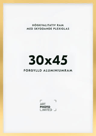 Förgylld Aluminiumram 30x45cm Förgylld Aluminiumram 30x45cm