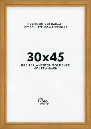 Holzrahmen Antik Gold Breit 30x45cm