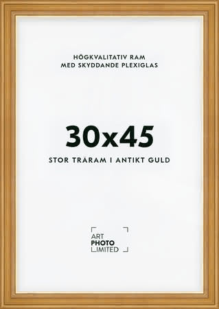 Stor Antik Förgylld Träram 30x45cm Stor Antik Förgylld Träram 30x45cm