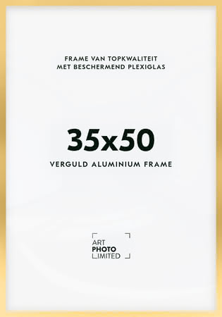 Aluminium lijst Goud 35x50cm