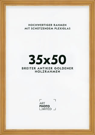 Holzrahmen Antik Gold Breit 35x50cm