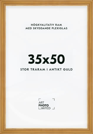 Stor Antik Förgylld Träram 35x50cm Stor Antik Förgylld Träram 35x50cm