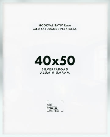 Matt silver Aluminiumram 40x50cm Matt silver Aluminiumram 40x50cm