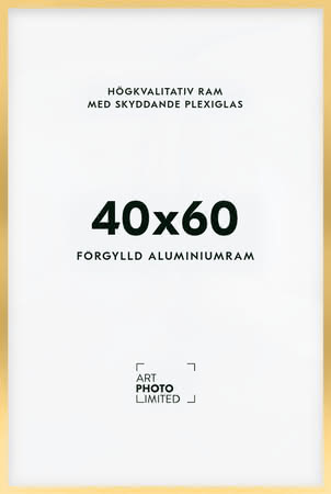 Förgylld Aluminiumram 40x60cm Förgylld Aluminiumram 40x60cm