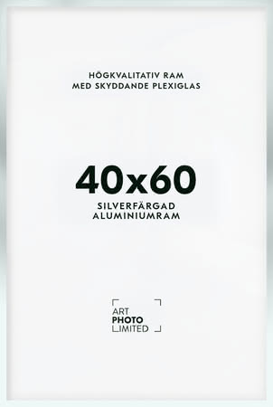 Matt silver Aluminiumram 40x60cm Matt silver Aluminiumram 40x60cm