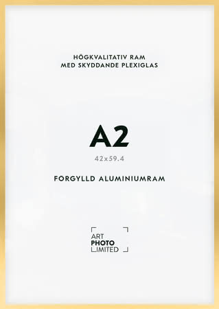 Förgylld Aluminiumram A2 Förgylld Aluminiumram A2