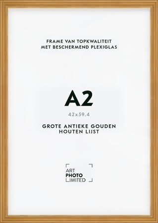 Brede Houten lijst Goudkleurig Goud A2