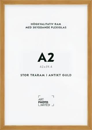 Stor Antik Förgylld Träram A2 Stor Antik Förgylld Träram A2