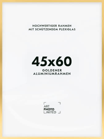 Alurahmen Gold 45x60cm Alurahmen Gold 45x60cm