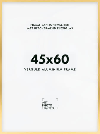 Aluminium lijst Goud 45x60cm