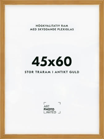 Stor Antik Förgylld Träram 45x60cm Stor Antik Förgylld Träram 45x60cm