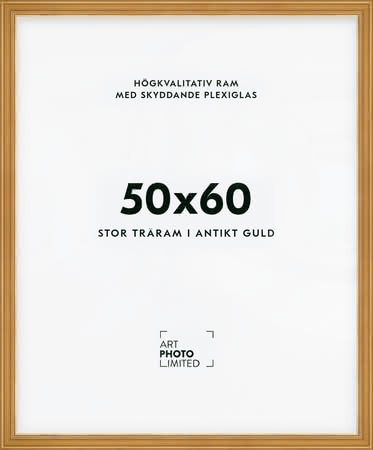 Stor Antik Förgylld Träram 50x60cm Stor Antik Förgylld Träram 50x60cm