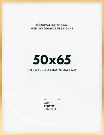 Förgylld Aluminiumram 50x65cm Förgylld Aluminiumram 50x65cm