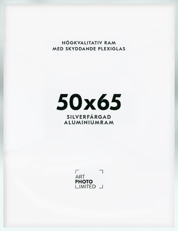 Matt silver Aluminiumram 50x65cm Matt silver Aluminiumram 50x65cm