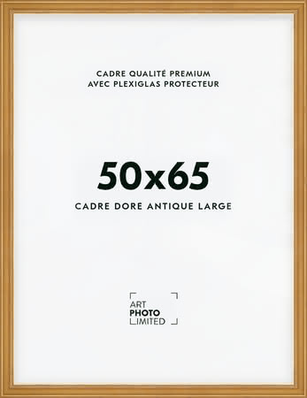Cadre en bois doré large antique 50x65cm Cadre en bois doré large antique 50x65cm