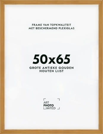Brede Houten lijst Goudkleurig Goud 50x65cm