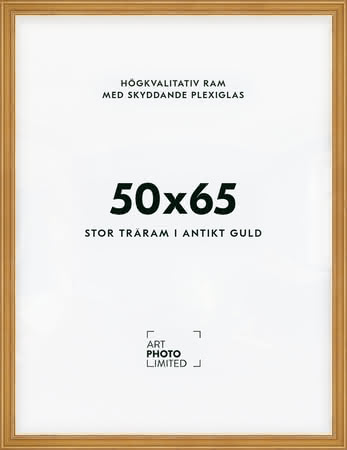 Stor Antik Förgylld Träram 50x65cm Stor Antik Förgylld Träram 50x65cm