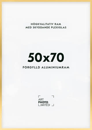 Förgylld Aluminiumram 50x70cm Förgylld Aluminiumram 50x70cm