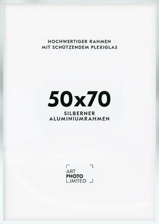 Alurahmen Silber Matt 50x70cm