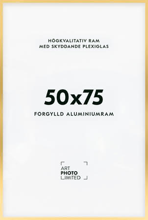Förgylld Aluminiumram 50x75cm Förgylld Aluminiumram 50x75cm