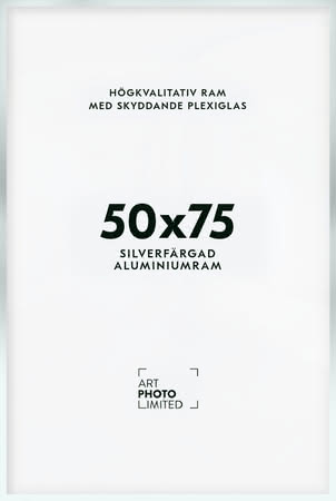 Matt silver Aluminiumram 50x75cm Matt silver Aluminiumram 50x75cm