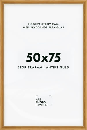 Stor Antik Förgylld Träram 50x75cm Stor Antik Förgylld Träram 50x75cm