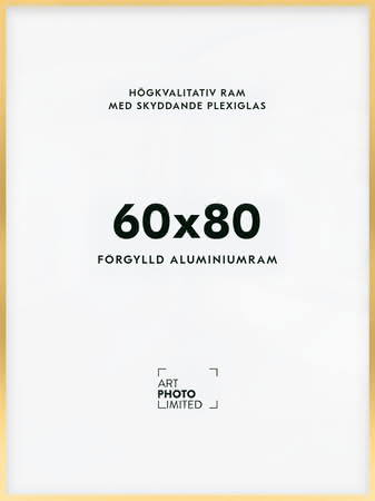 Förgylld Aluminiumram 60x80cm Förgylld Aluminiumram 60x80cm