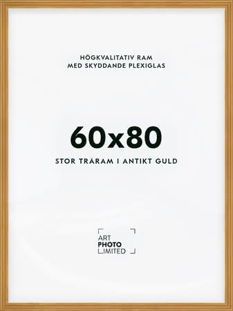 Stor Antik Förgylld Träram 60x80cm Stor Antik Förgylld Träram 60x80cm