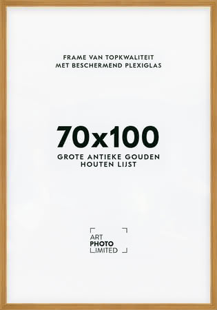 Brede Houten lijst Goudkleurig Goud 70x100cm Brede Houten lijst Goudkleurig Goud 70x100cm