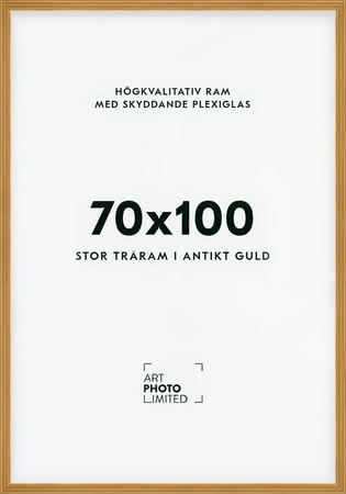 Stor Antik Förgylld Träram 70x100cm Stor Antik Förgylld Träram 70x100cm