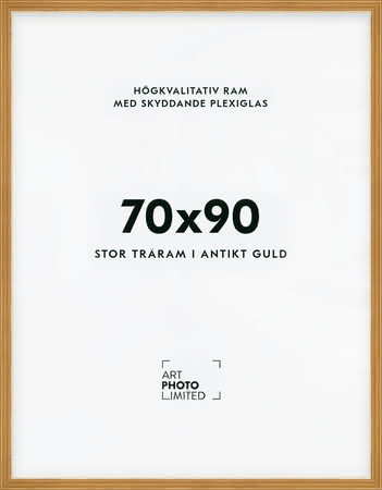 Stor Antik Förgylld Träram 70x90cm Stor Antik Förgylld Träram 70x90cm